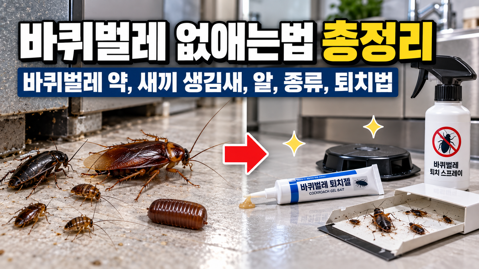 바퀴벌레 약과 새끼, 알, 종류, 퇴치법