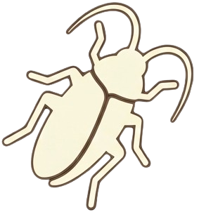 바퀴벌레 없애는법